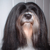 eni_portret.gif(24 kb)